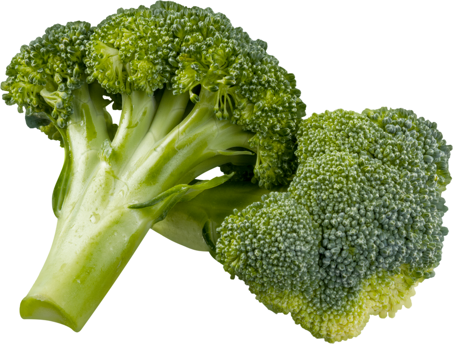 Fresh Broccoli - Isolated