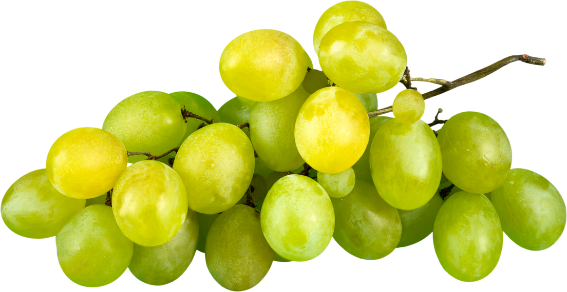 White Grape Cluster 