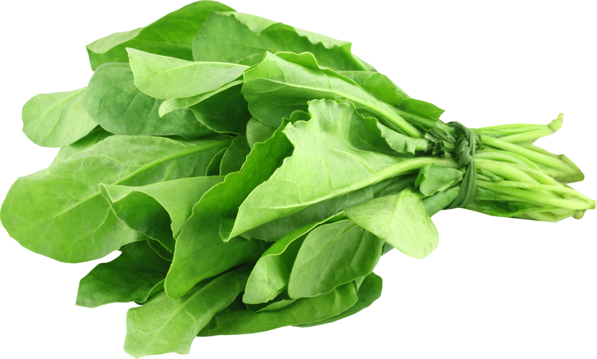 Spinach Bundle