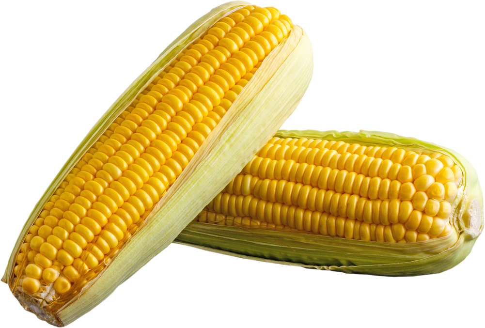 Sweet Corn